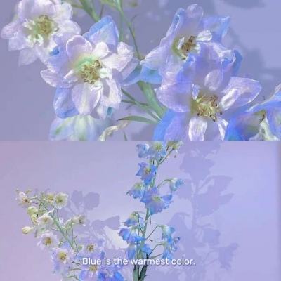 江南体育·(JN)官方网站