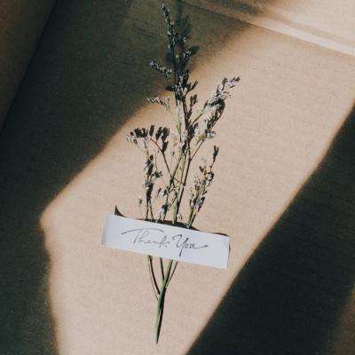 火狐电竞下载手机版