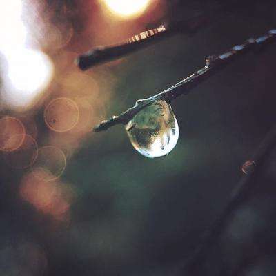 乐动体育app全站下载