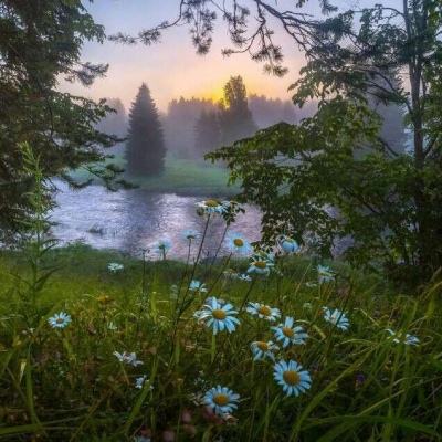 开云登陆-登录入口