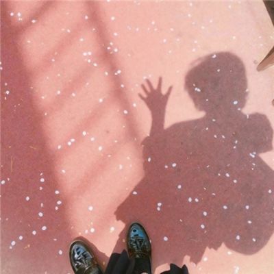 半岛官网入口网页版下载手机版